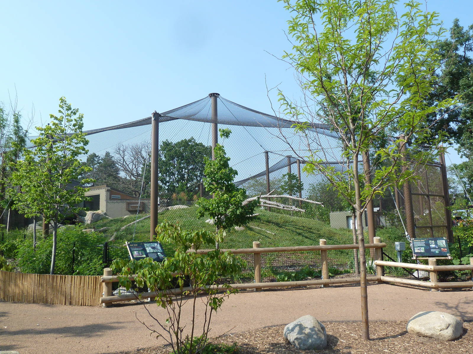 Gorilla Forest (New in 2013)