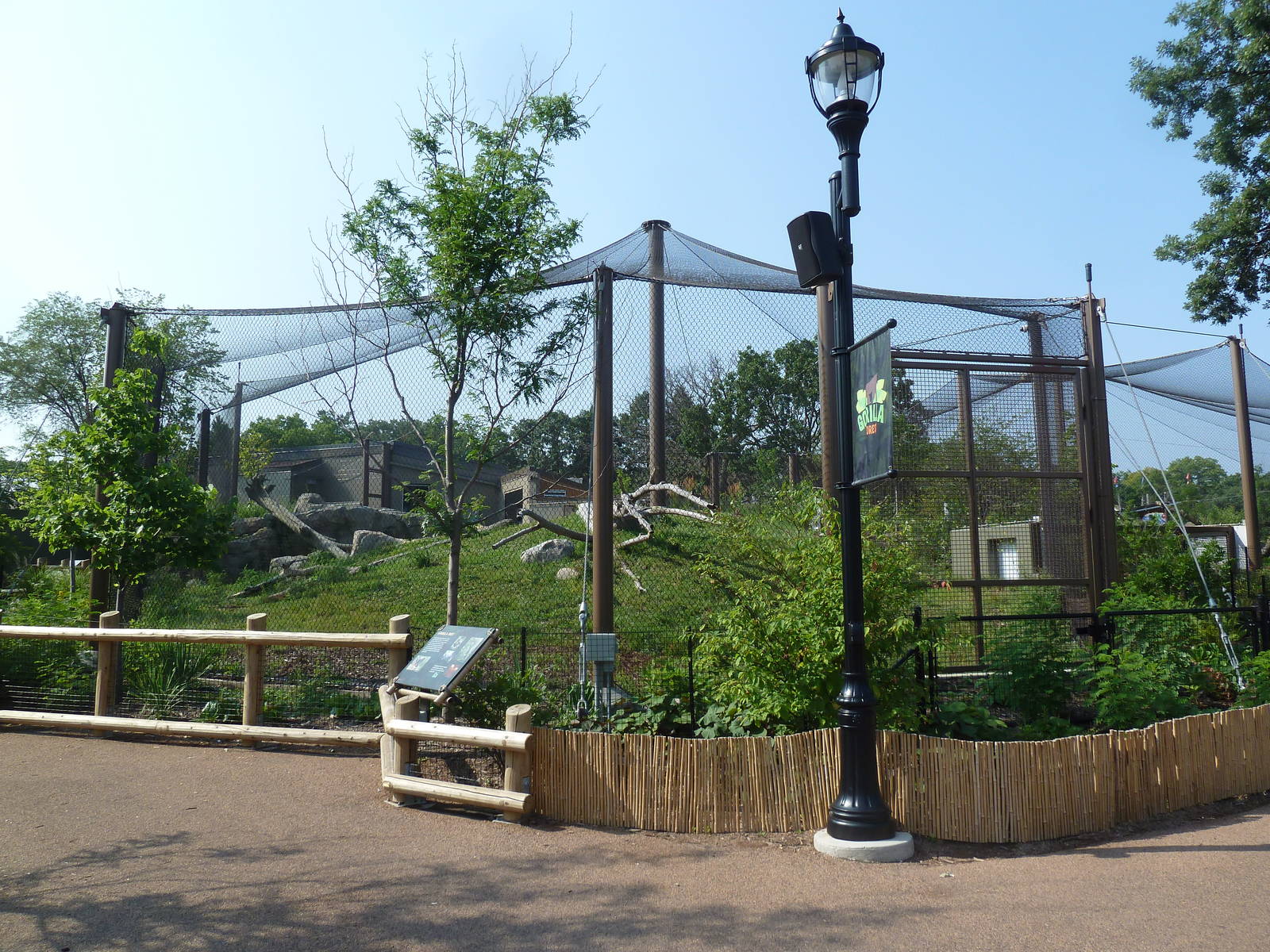 Gorilla Forest (New in 2013)