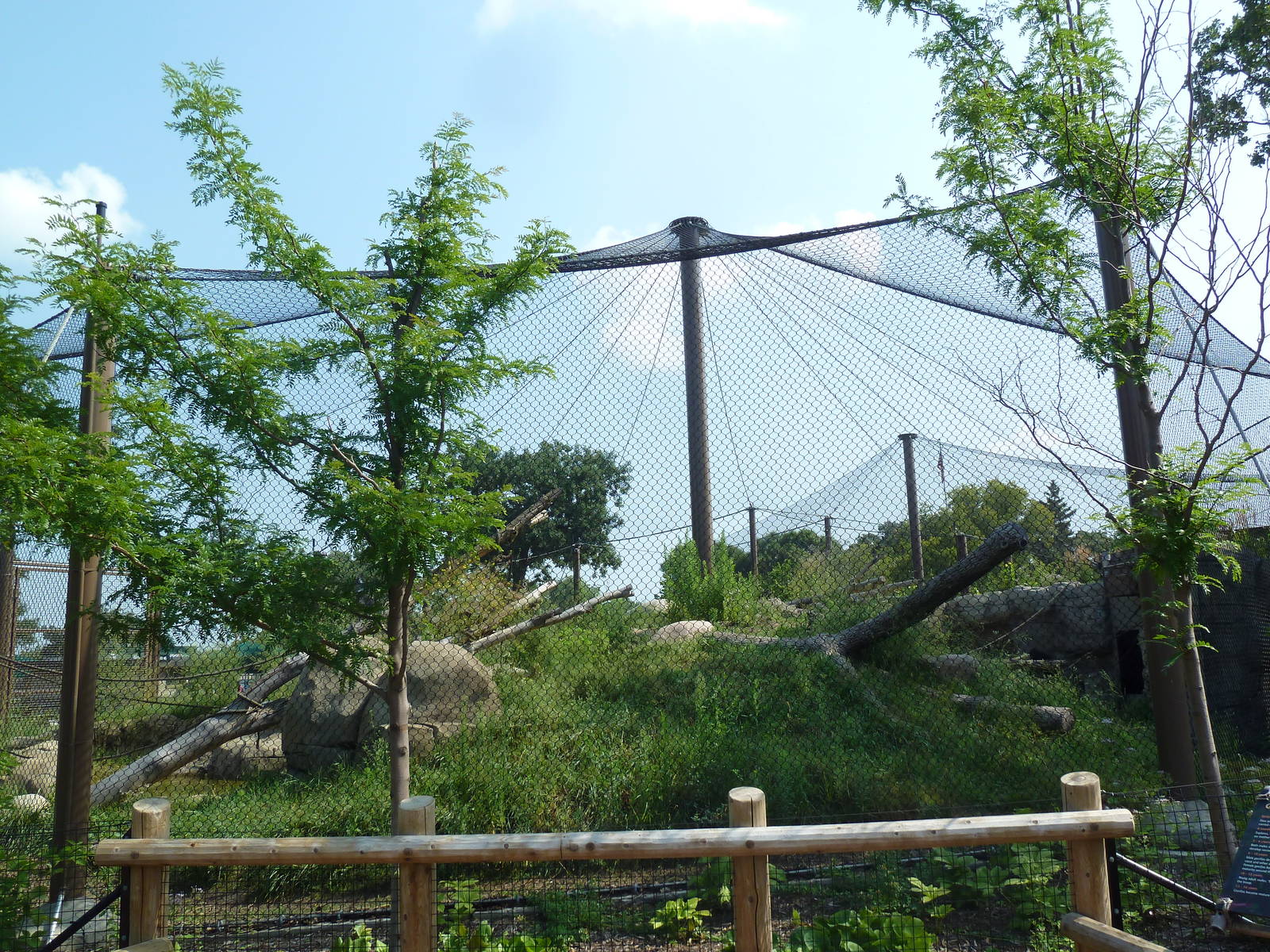 Gorilla Forest (New in 2013)