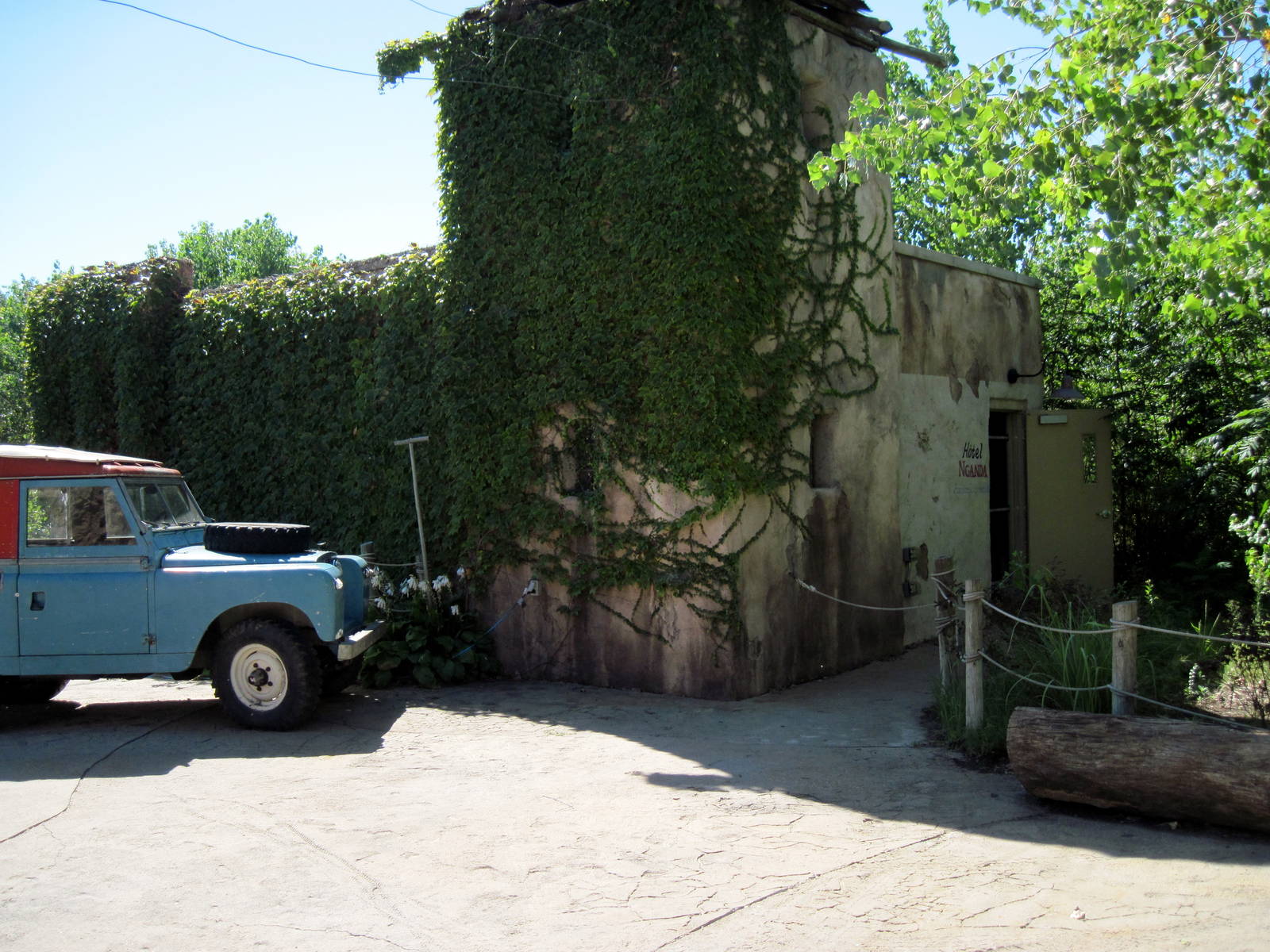 Gorilla Forest-Nganda Island