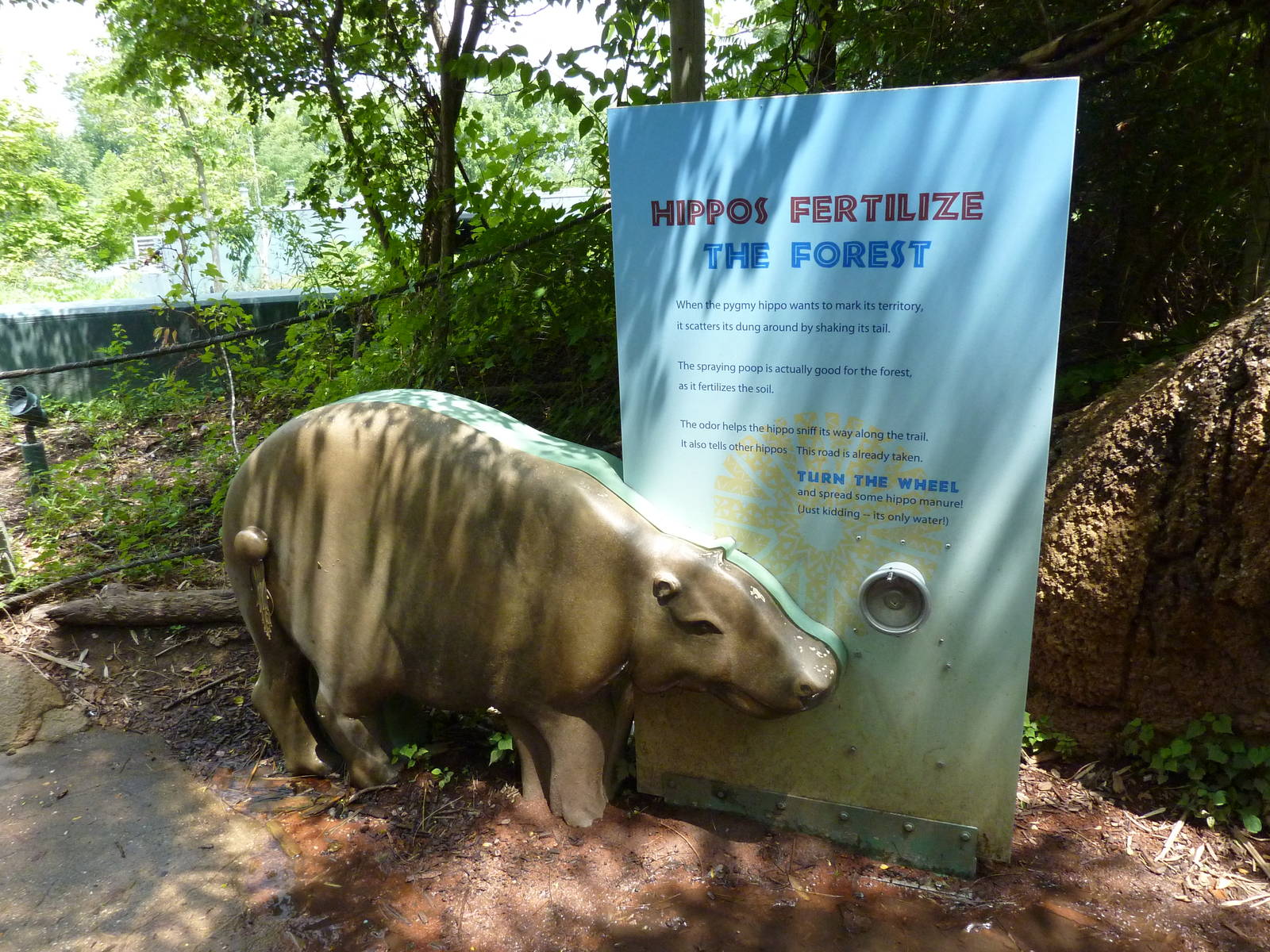 Gorilla Forest - Pygmy Hippo Statue