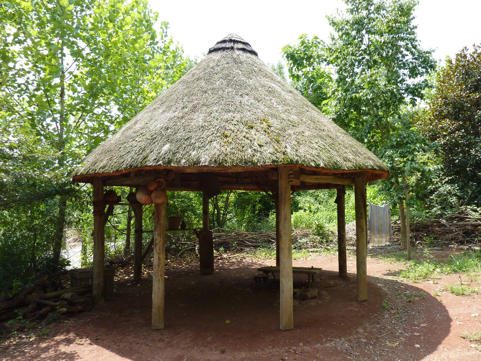 Gorilla Forest - Rest Area