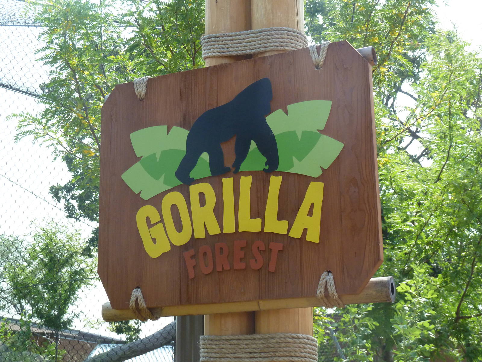 Gorilla Forest Sign (New in 2013)