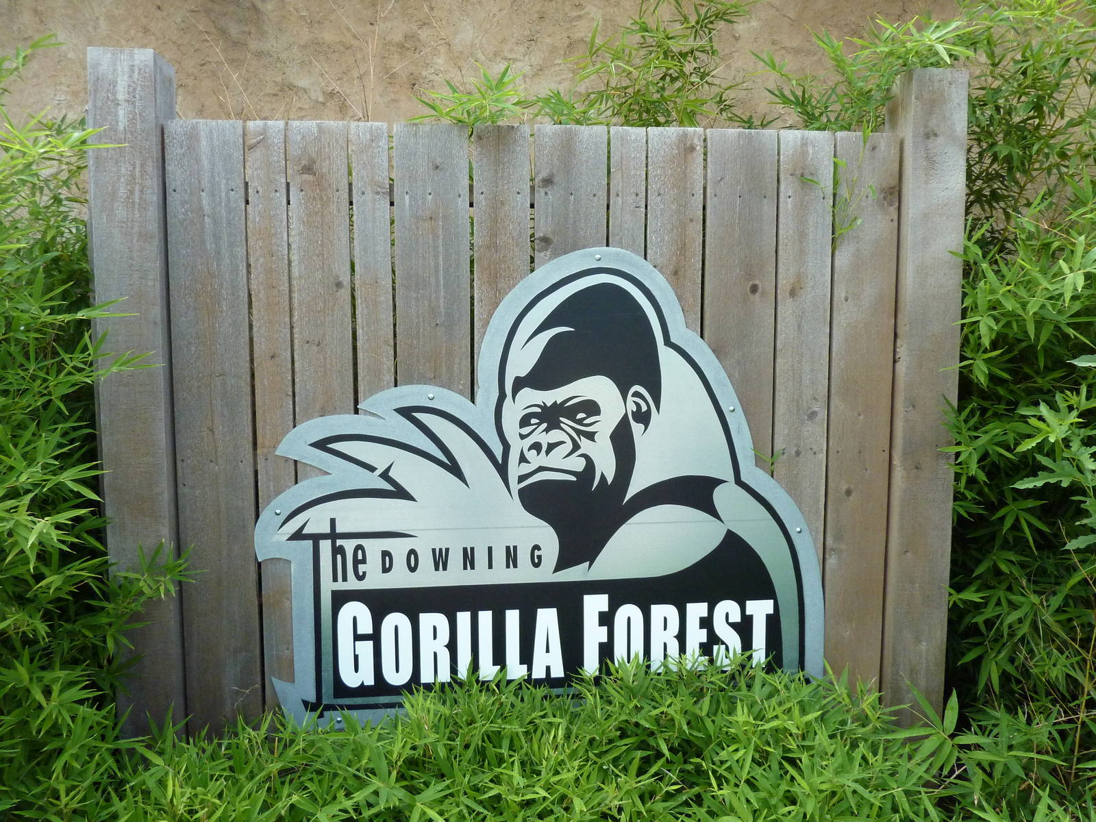Gorilla Forest Sign