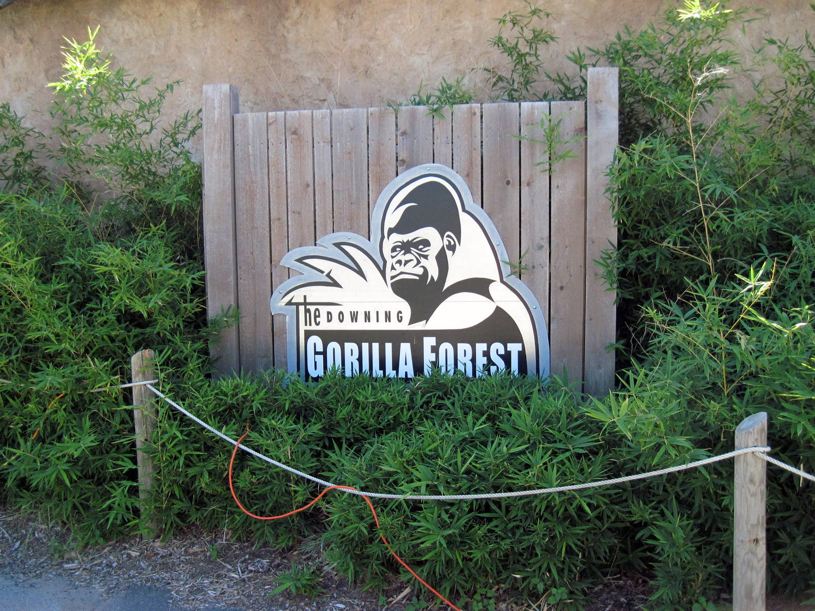 Gorilla Forest-Signage