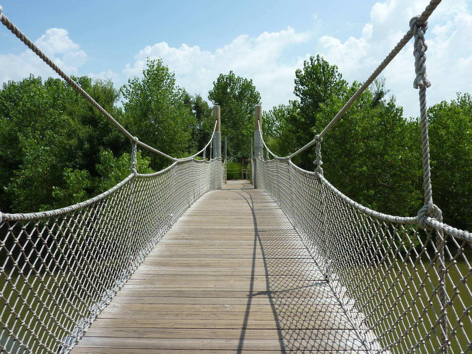 Gorilla Forest - Suspension Bridge