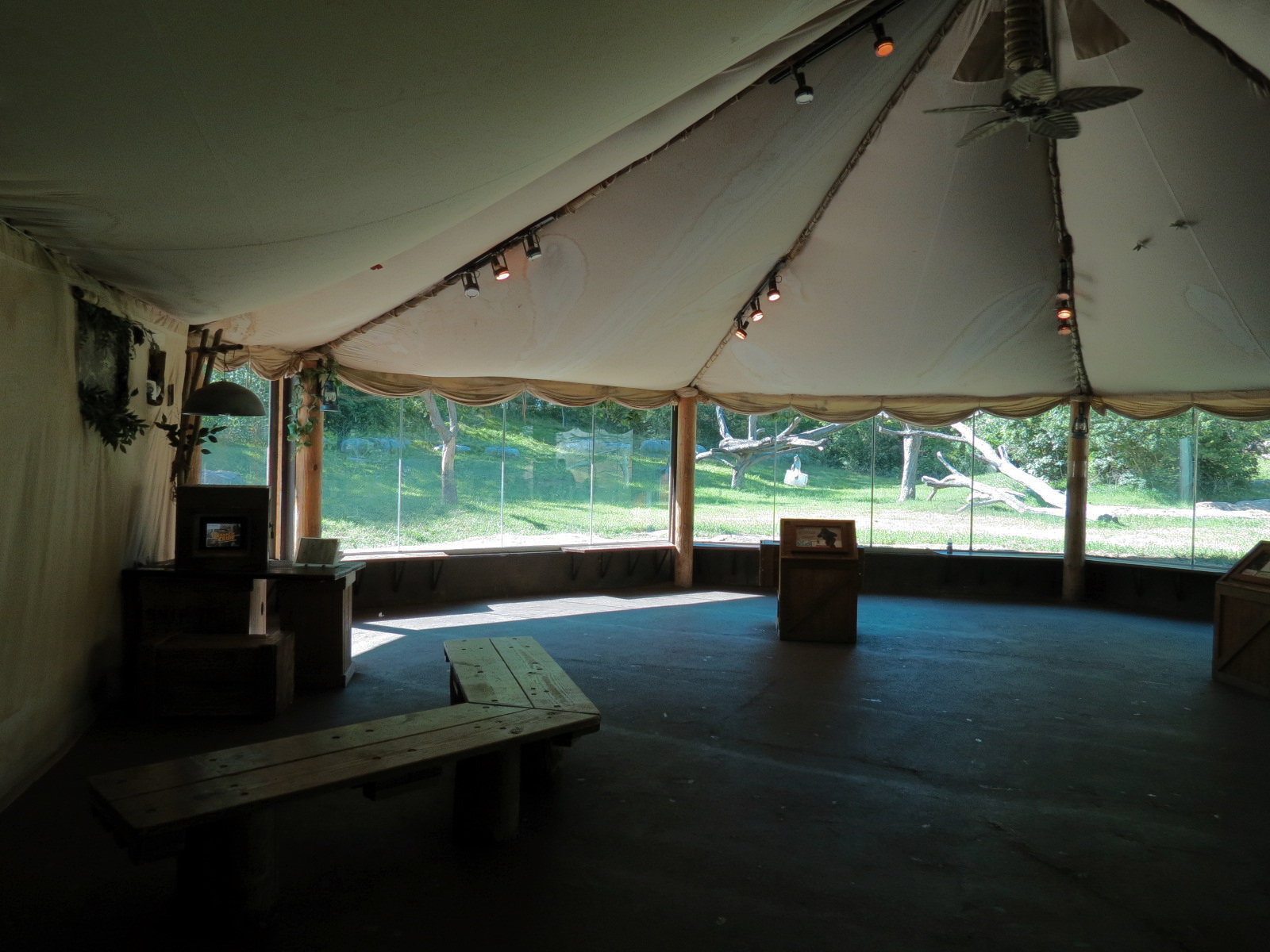 Gorilla Forest - Western Lowland Gorilla Exhibit - Viewing Area