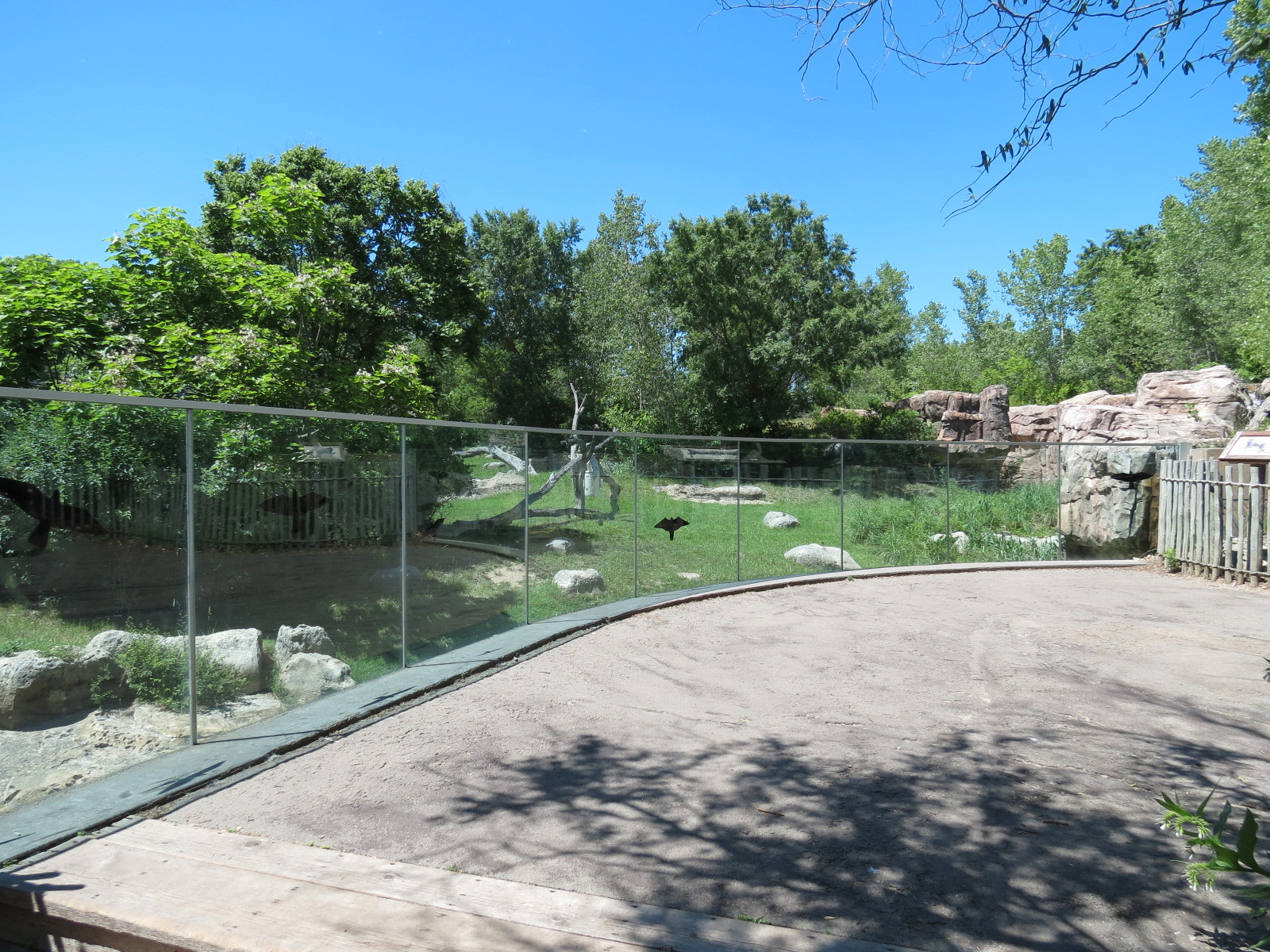 Gorilla Forest - Western Lowland Gorilla Exhibit