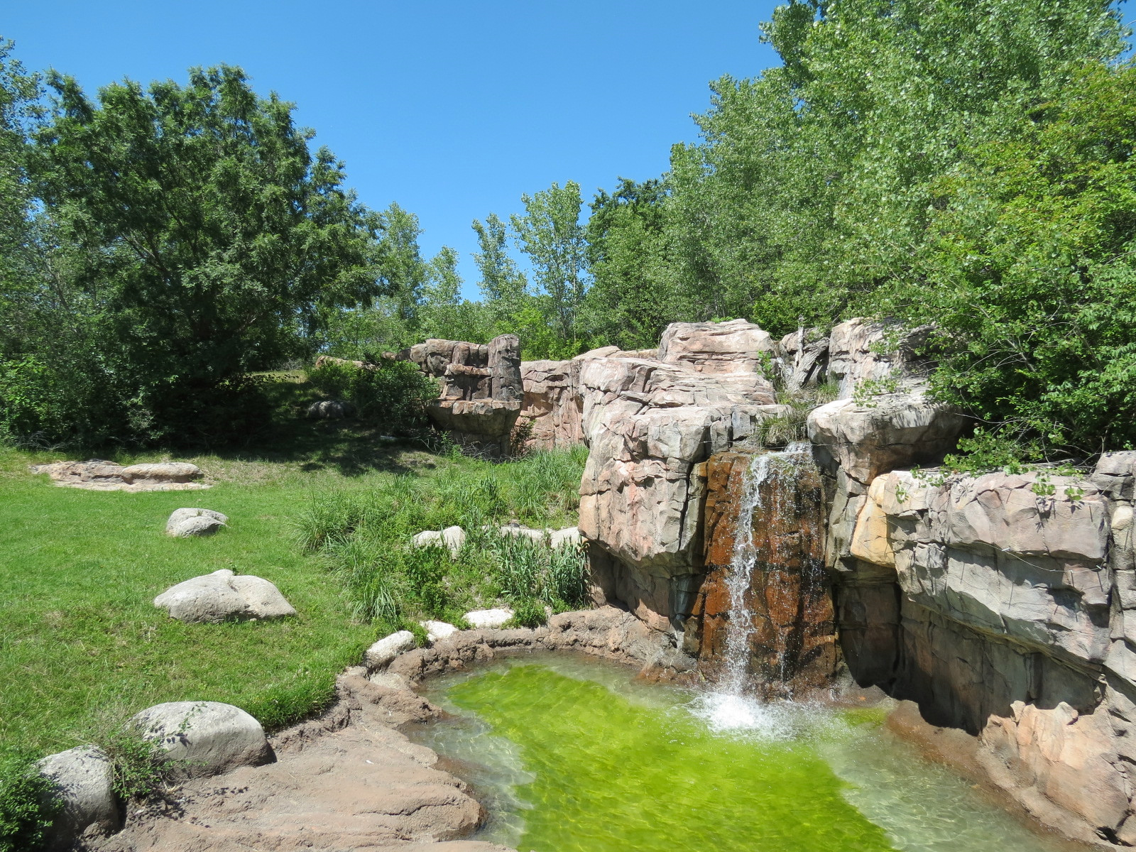 Gorilla Forest - Western Lowland Gorilla Exhibit
