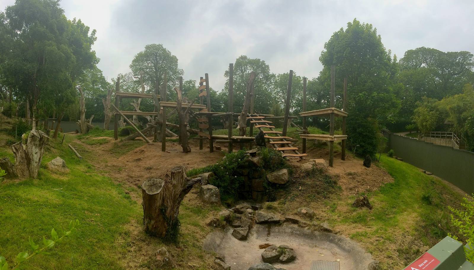 Gorilla frame currently under construction