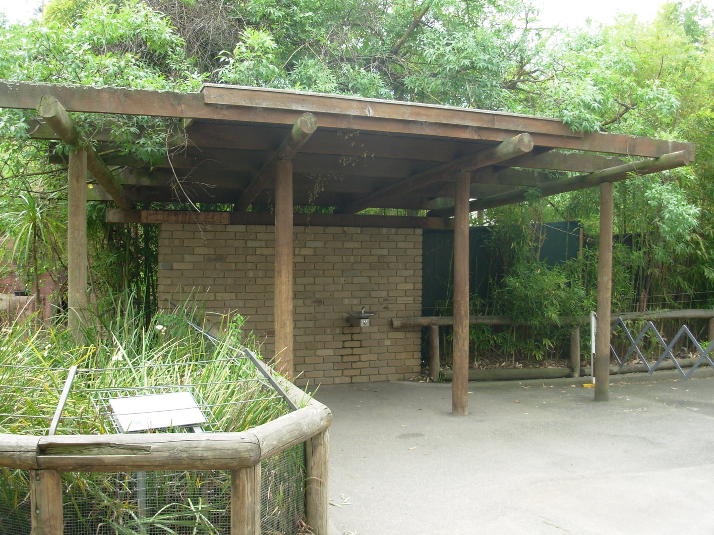 Gorilla Grottoes - Patio Between Grottoes 3 & 4