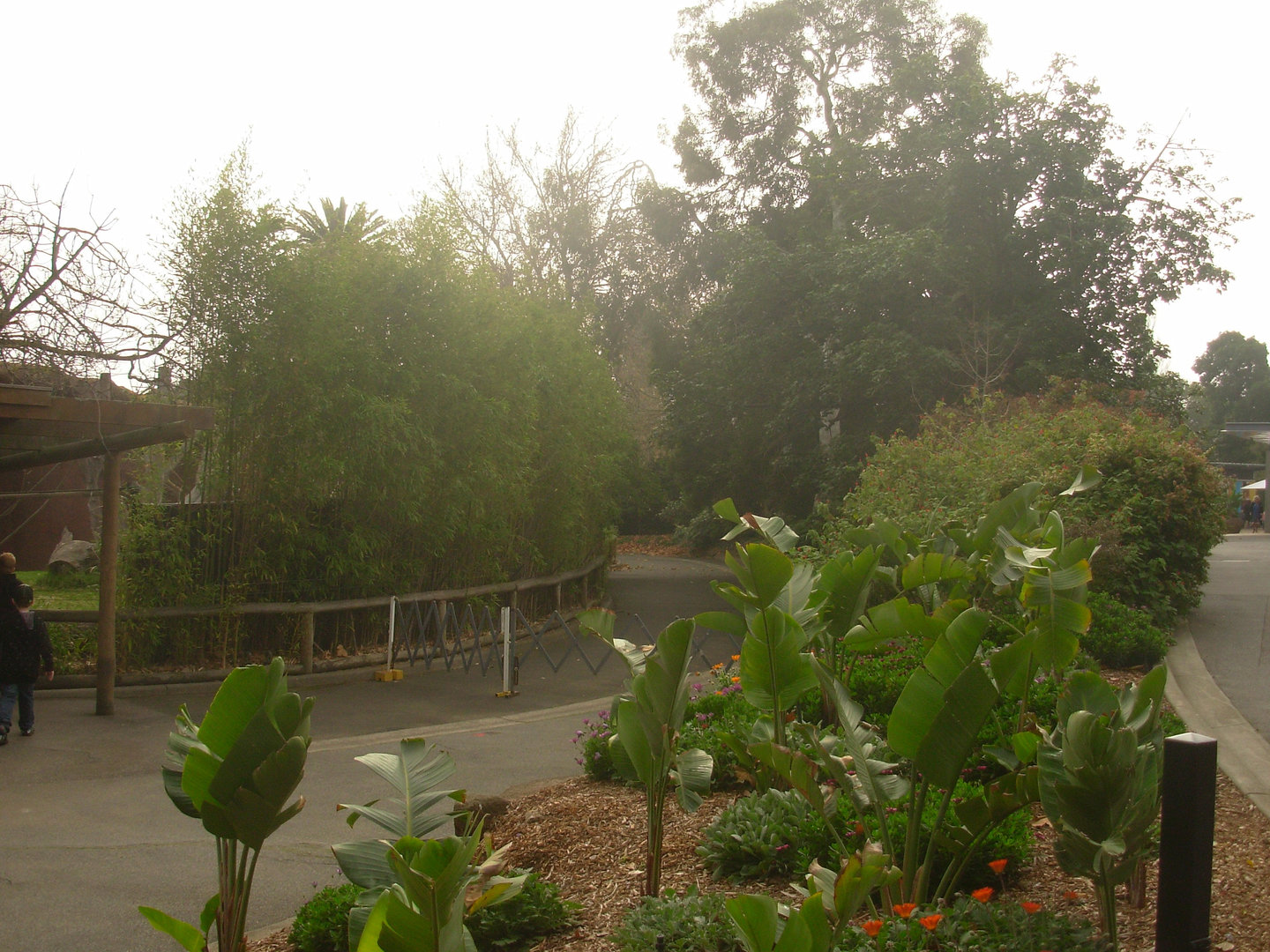 Gorilla Grottos & Path