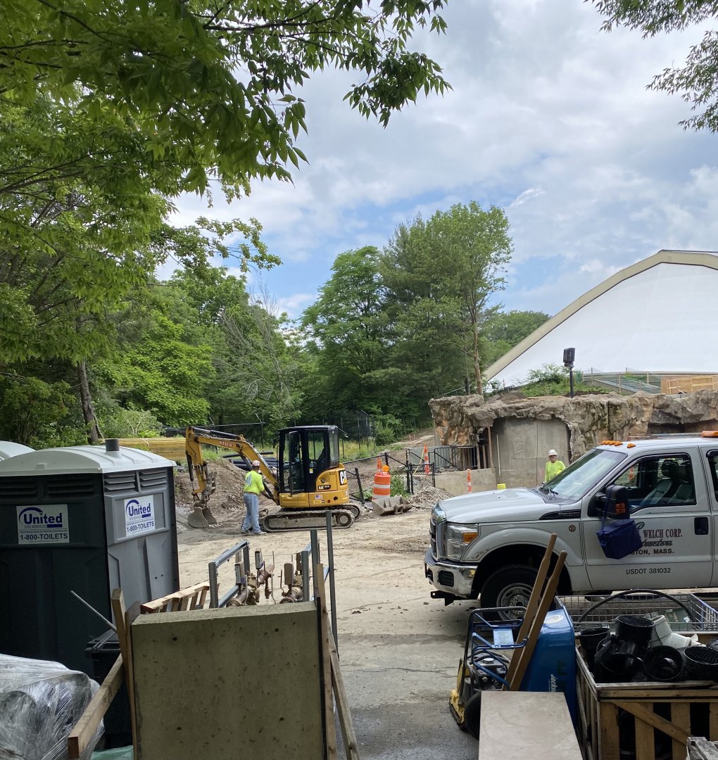 Gorilla Grove 15/6/21