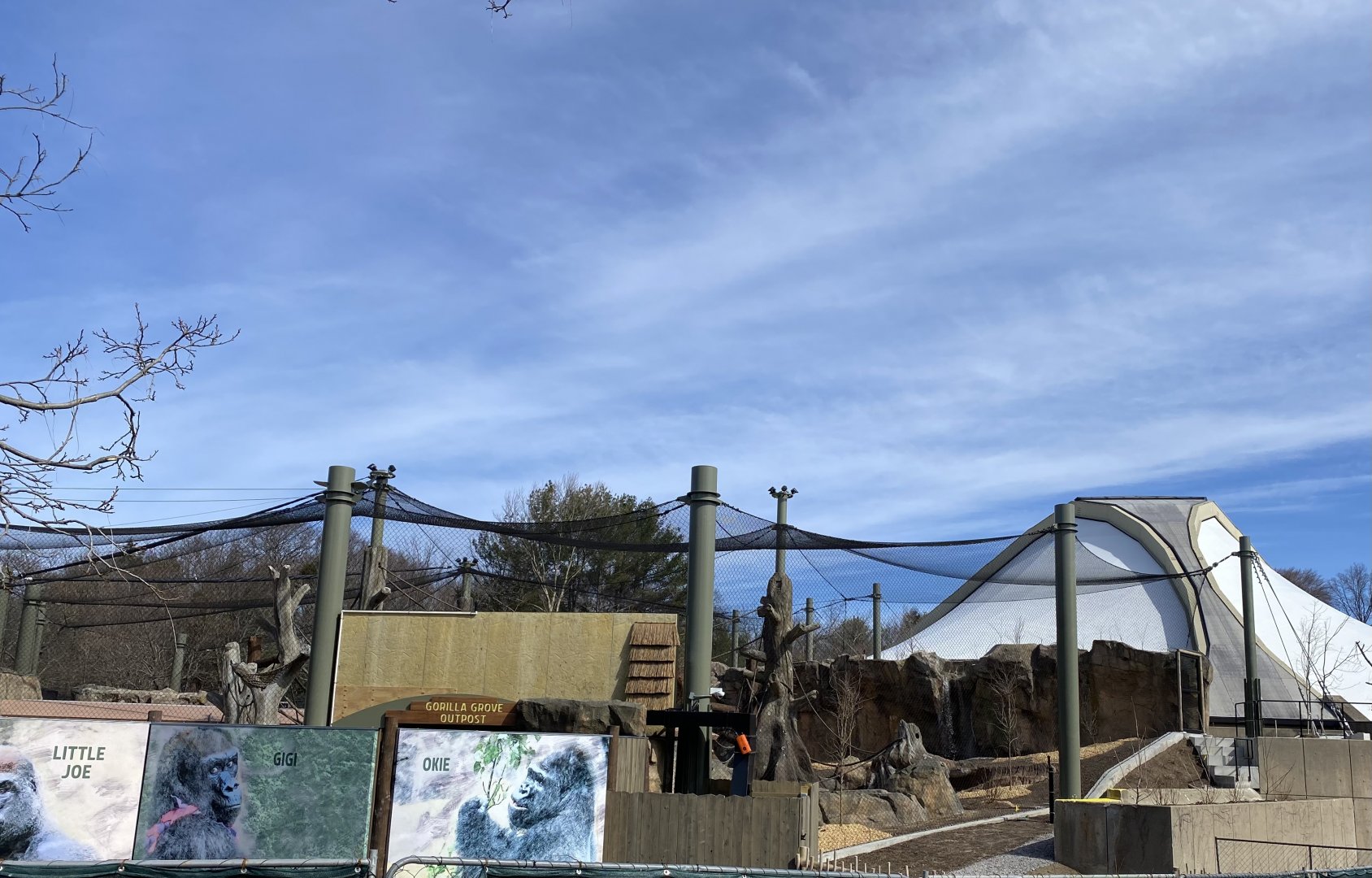 Gorilla Grove 30/3/22