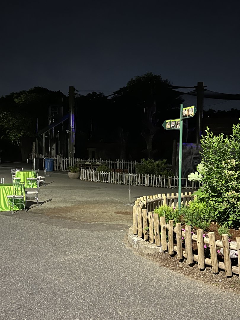 Gorilla Grove at Night