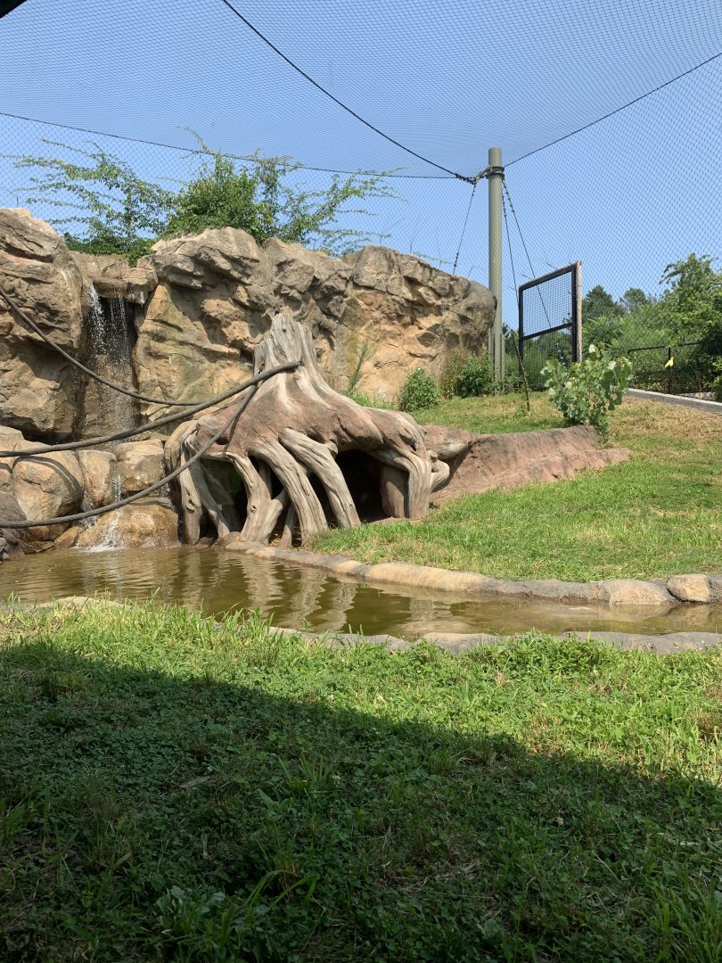 Gorilla Grove exhibit