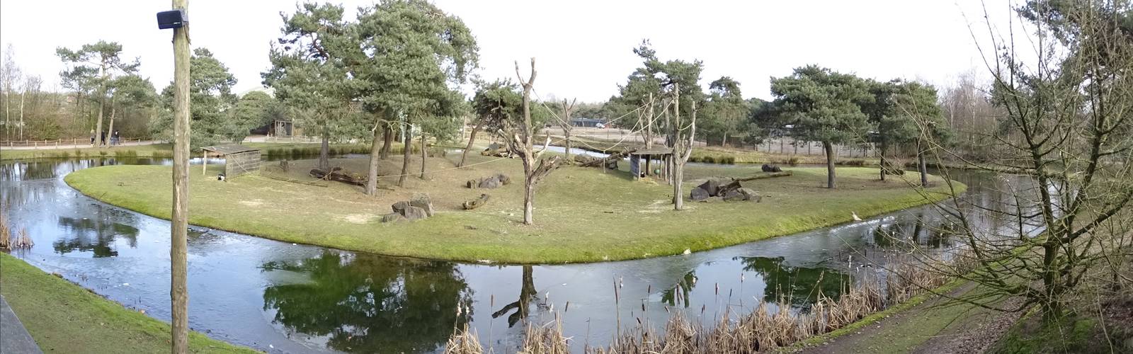 Gorilla/guereza enclosure