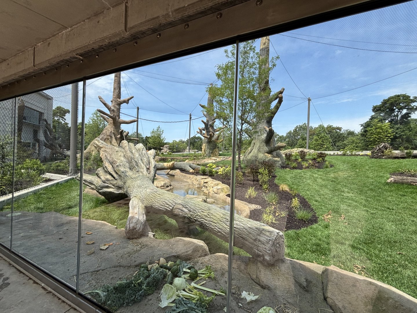 Gorilla Habitat 2