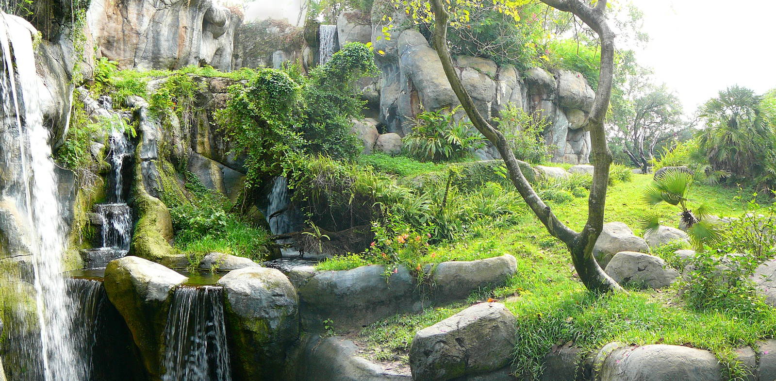 Gorilla Habitat - Myombe Reserve