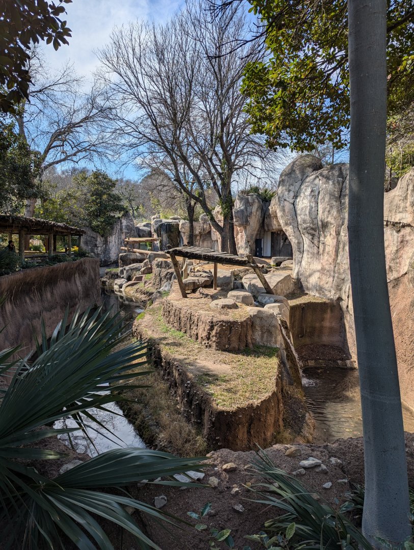 Gorilla habitat