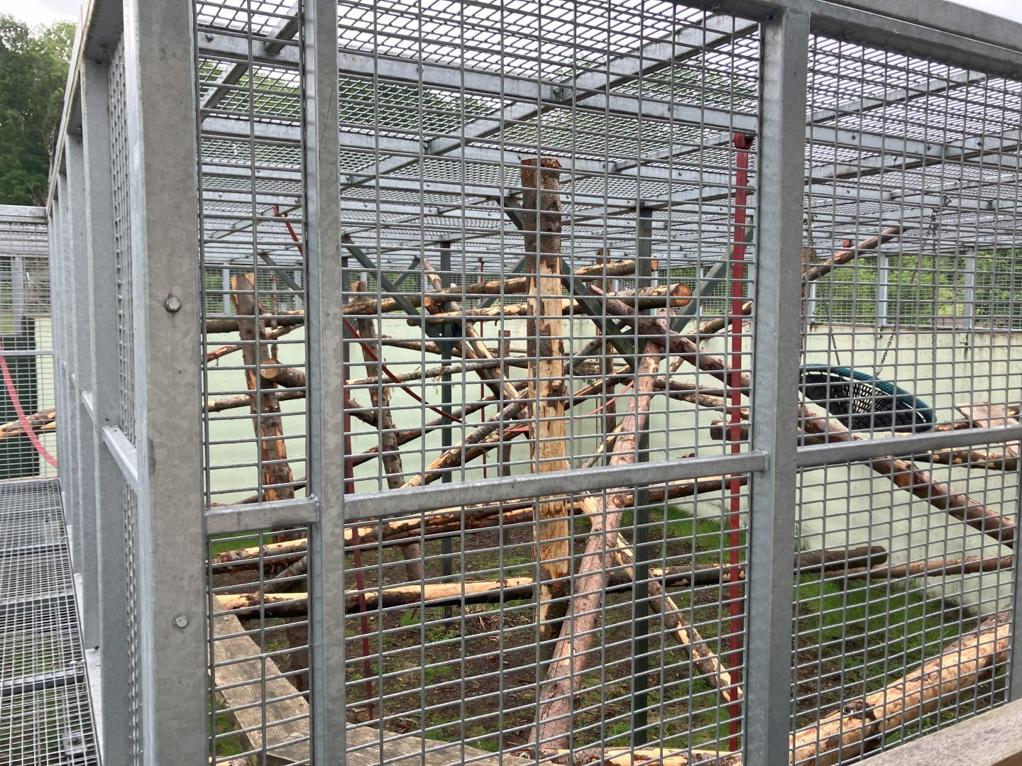 Gorilla holding cage