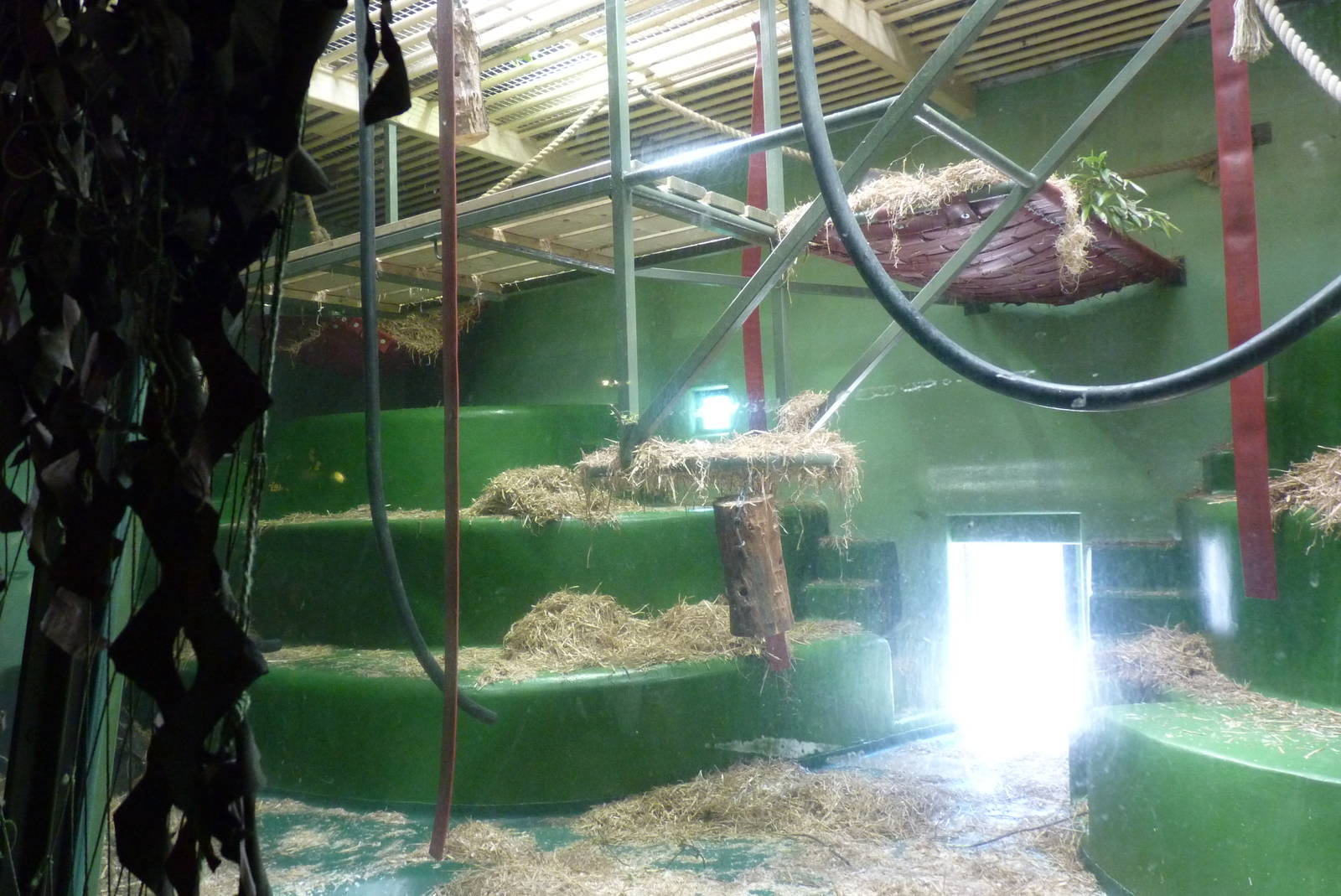 Gorilla house, April 2013