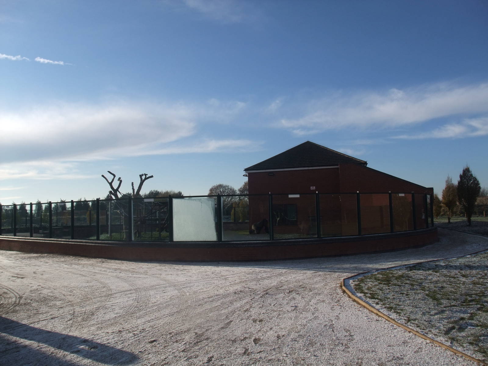 Gorilla House at Twycross, 28/11/10