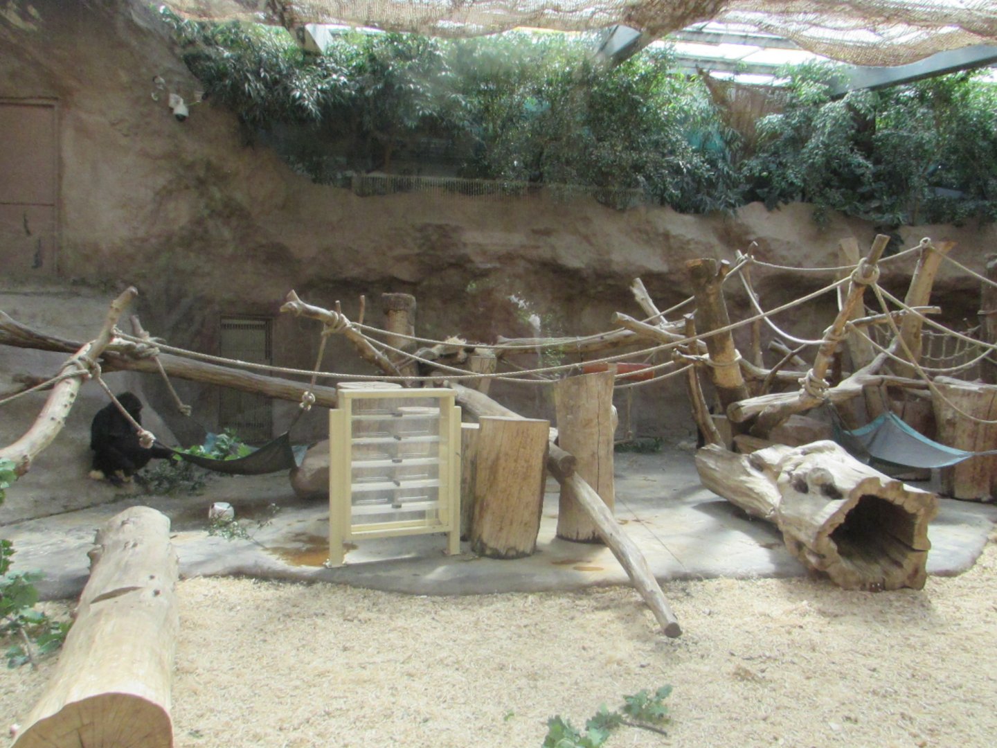 Gorilla House design - July/2017