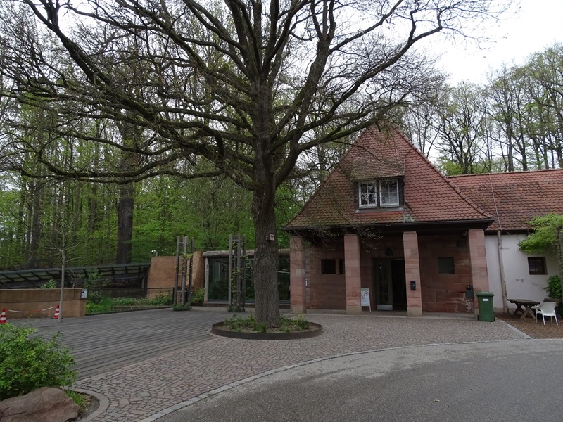 Gorilla house entrance with macaw enclosure