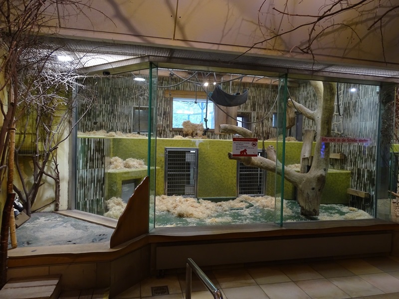 Gorilla House; gorilla indoor enclosures