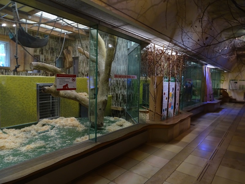Gorilla House; gorilla indoor enclosures