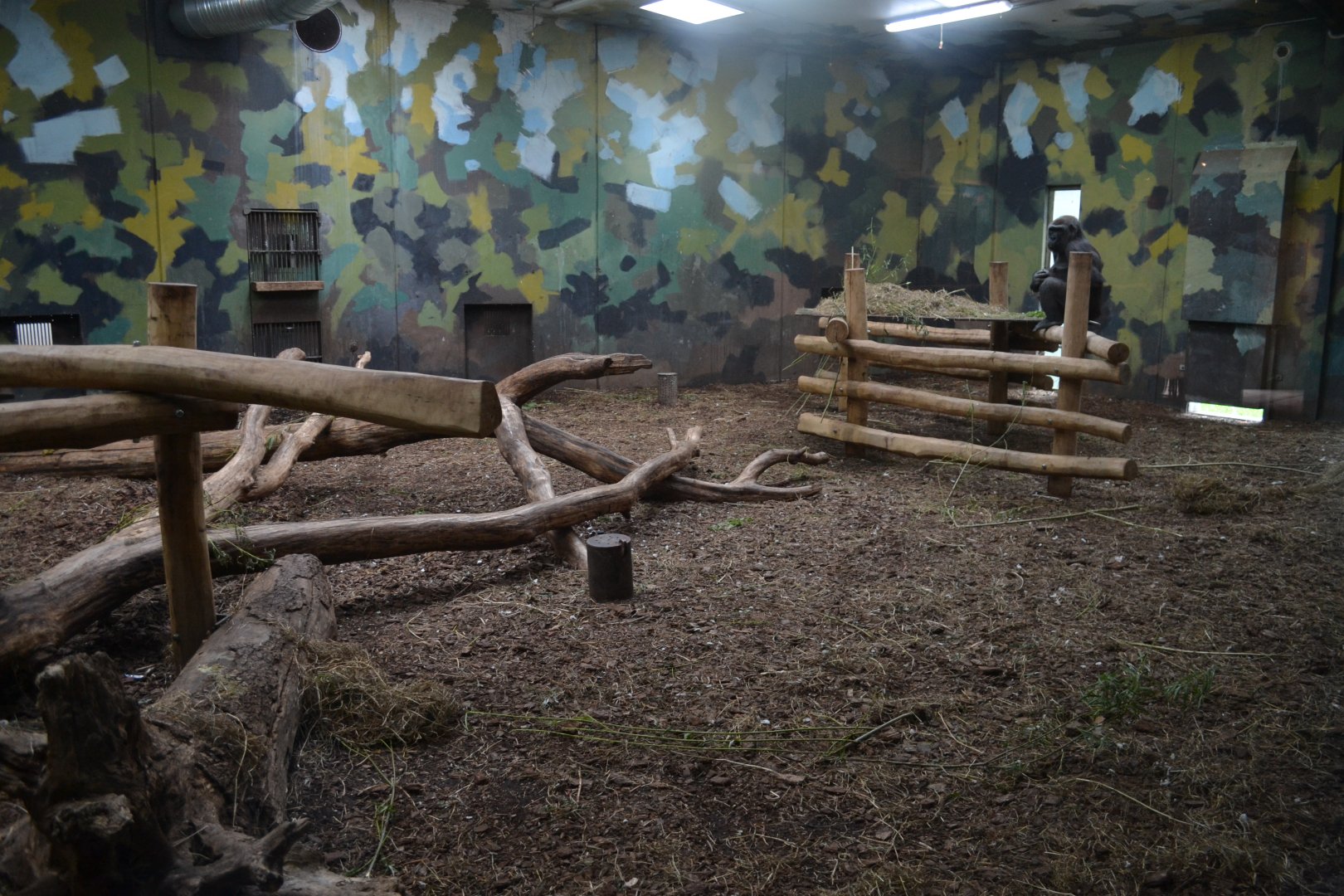 Gorilla house in Givskud Zoo