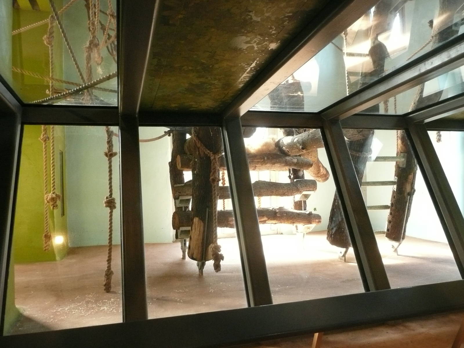 Gorilla House new indoor area