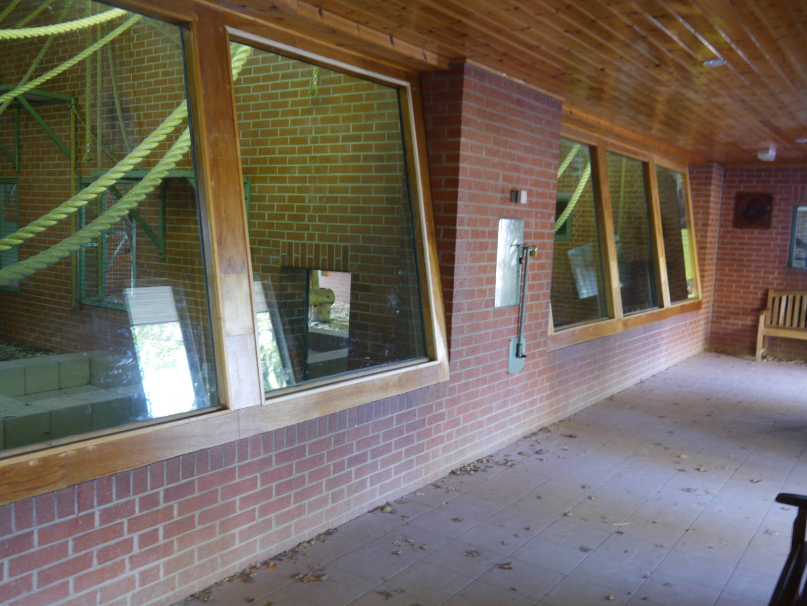 Gorilla house - viewing area.