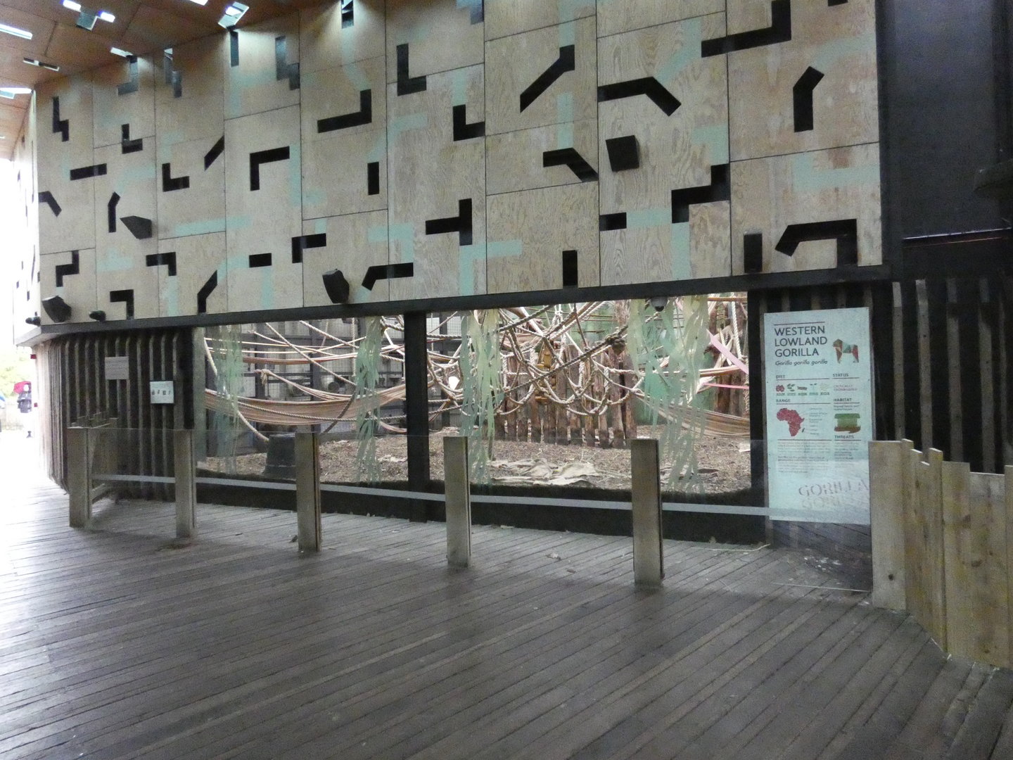 Gorilla house viewing area