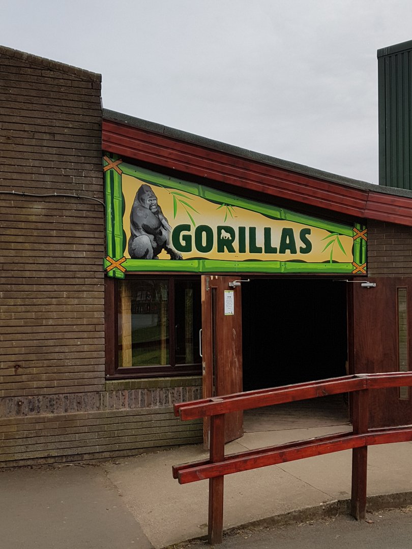 Gorilla house
