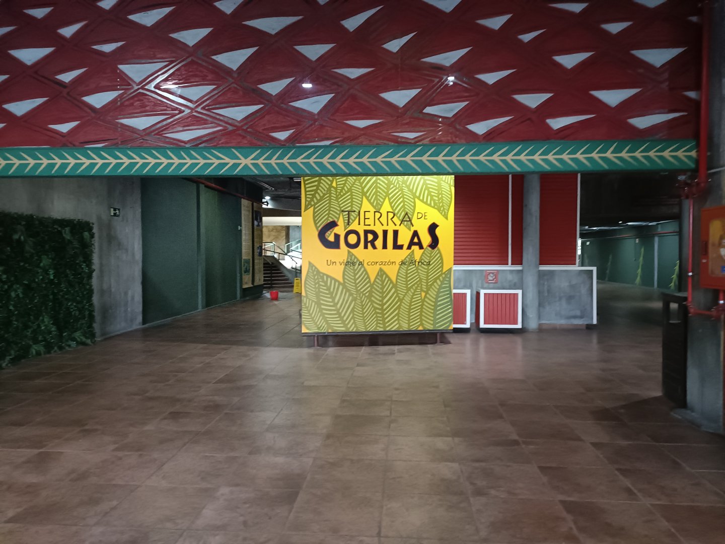 Gorilla house