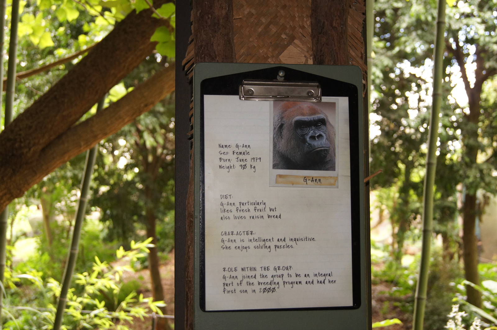 Gorilla identification clipboards
