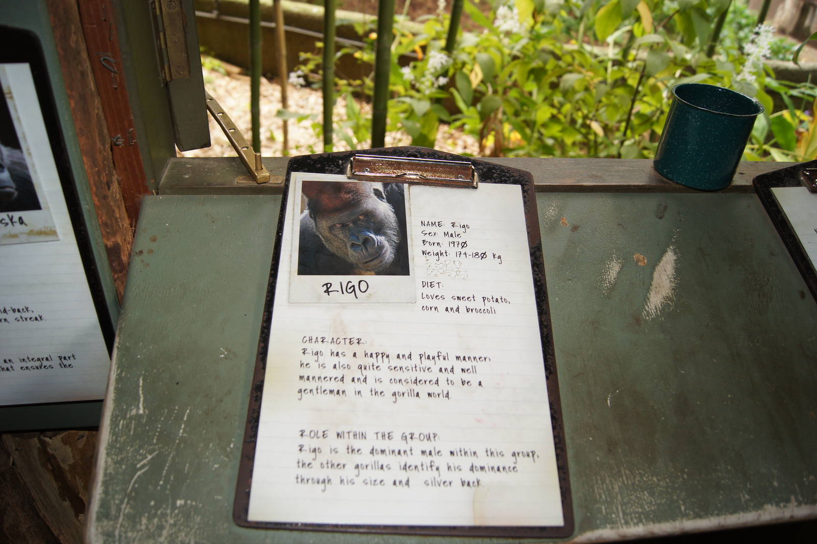 Gorilla identification clipboards