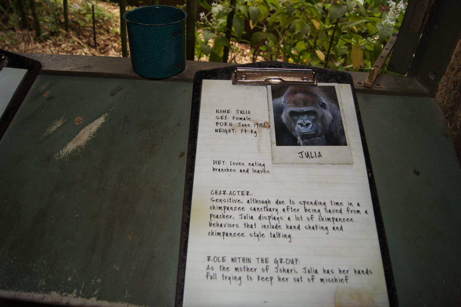 Gorilla identification clipboards