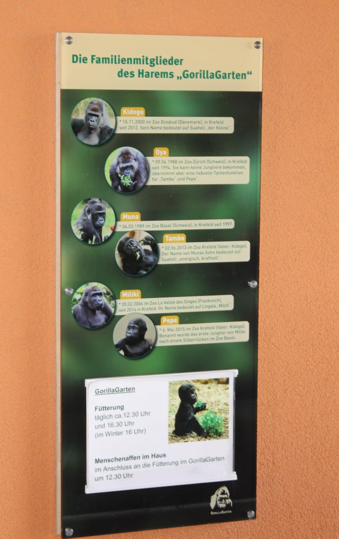 Gorilla ID's new enclosure