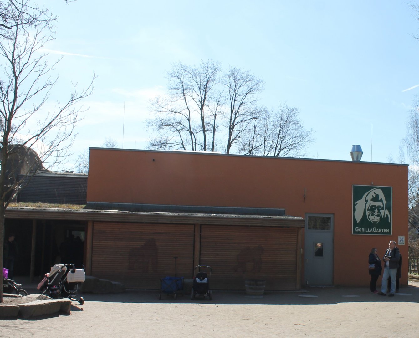 Gorilla-indoor-enclosures