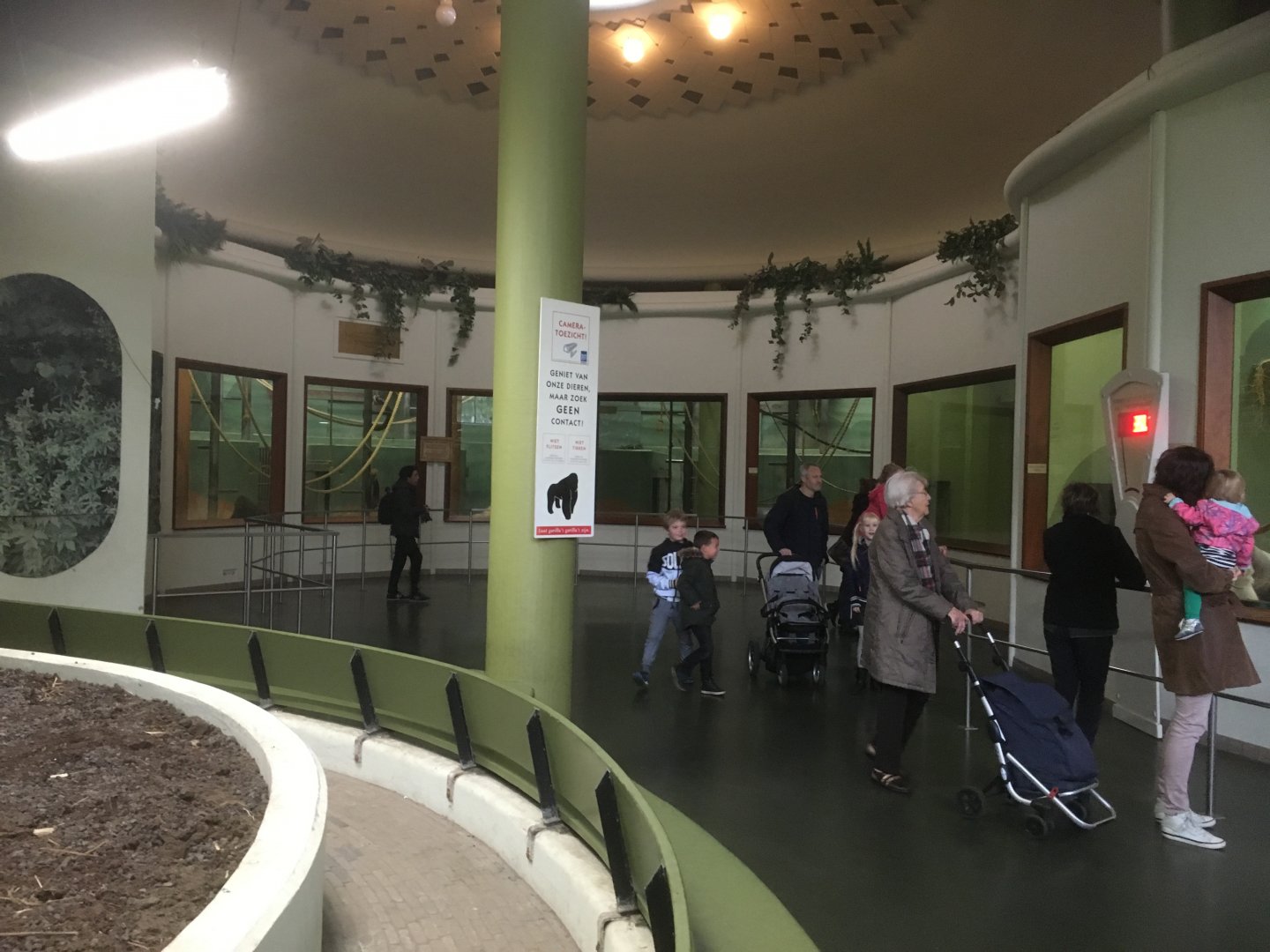 Gorilla indoor enclosures