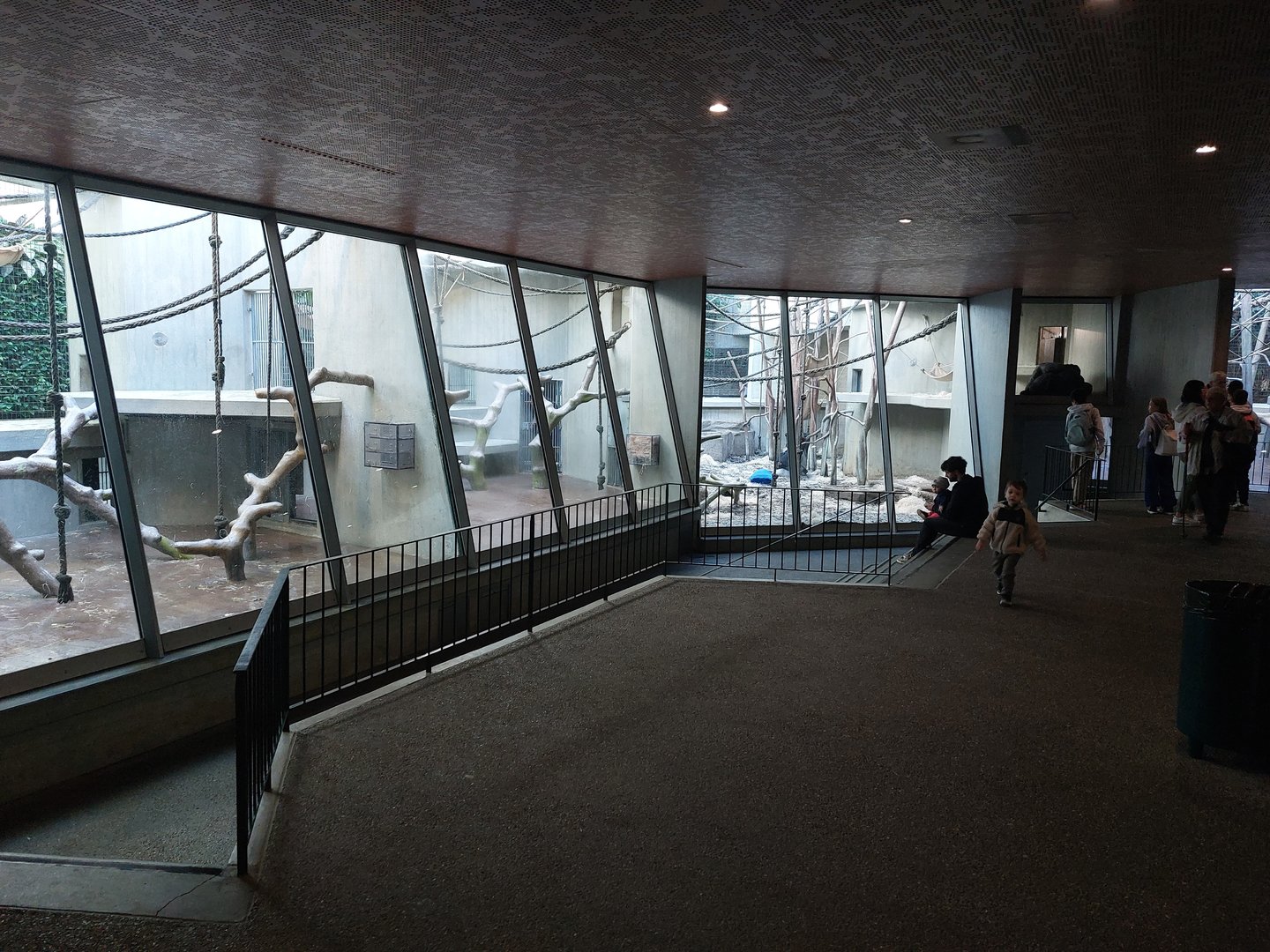 Gorilla indoor enclosures