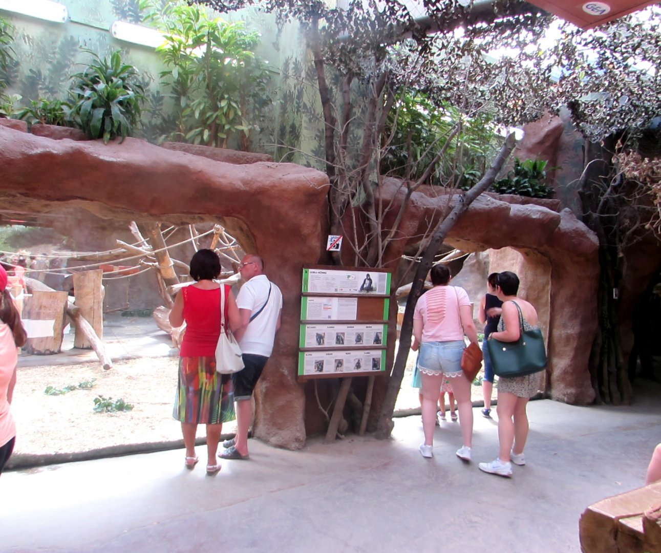 Gorilla indoor exhibit - July/2017