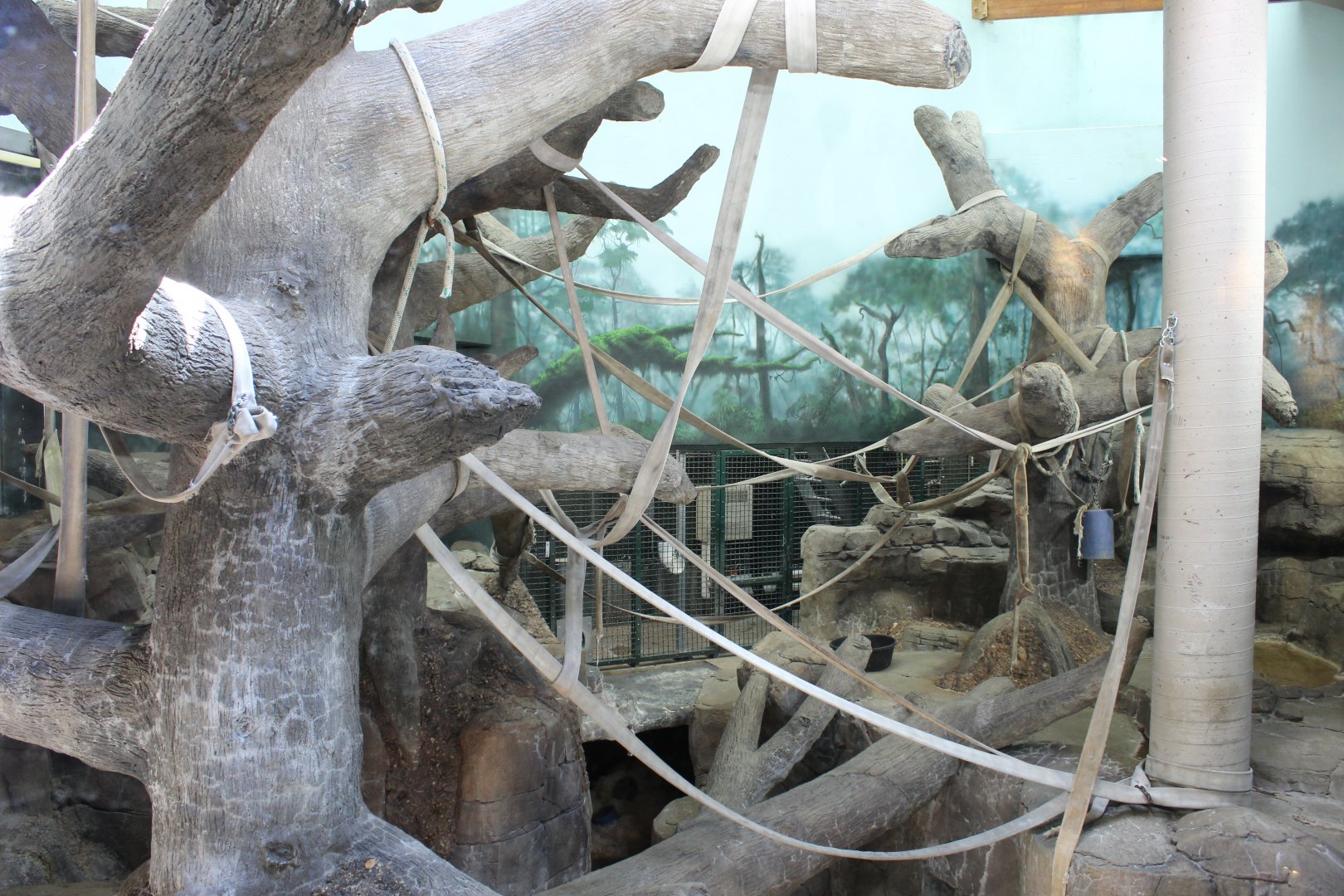 Gorilla Indoor Exhibit - Primate House