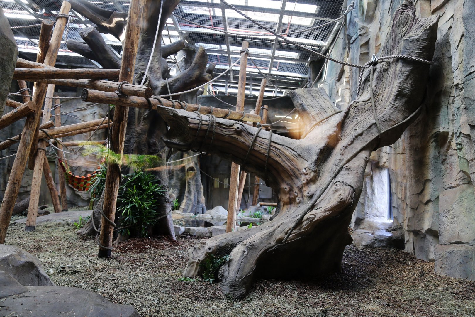 Gorilla Indoor Exhibit, the 1st Enclosure