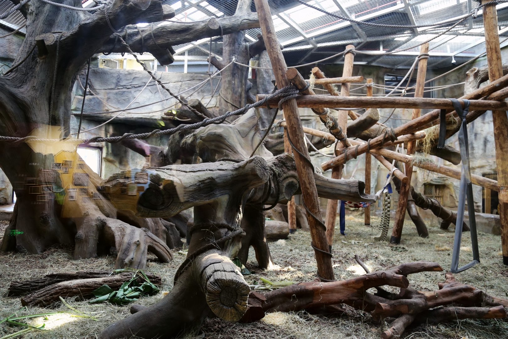 Gorilla Indoor Exhibit, the 2nd Enclosure
