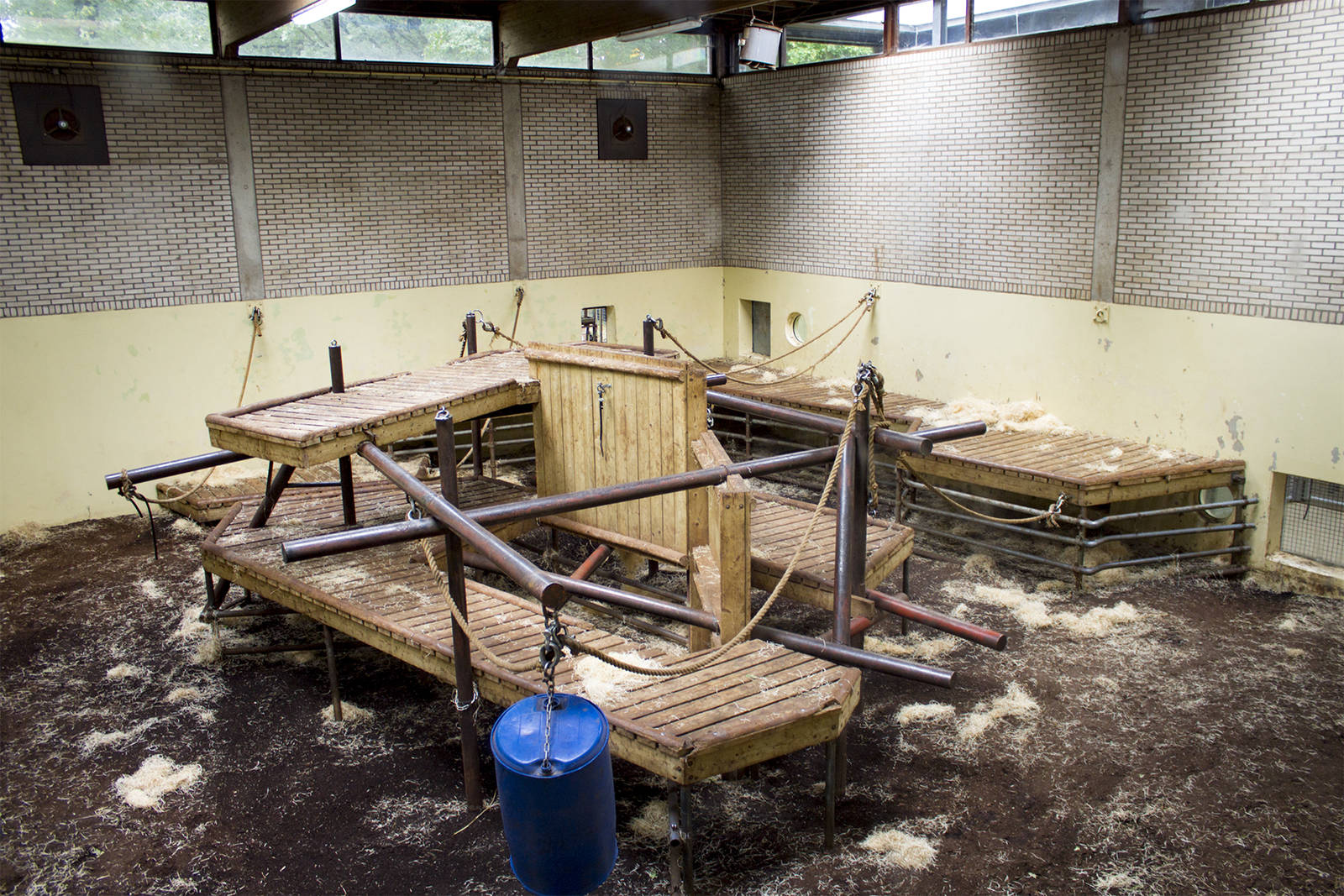 Gorilla indoor exhibit