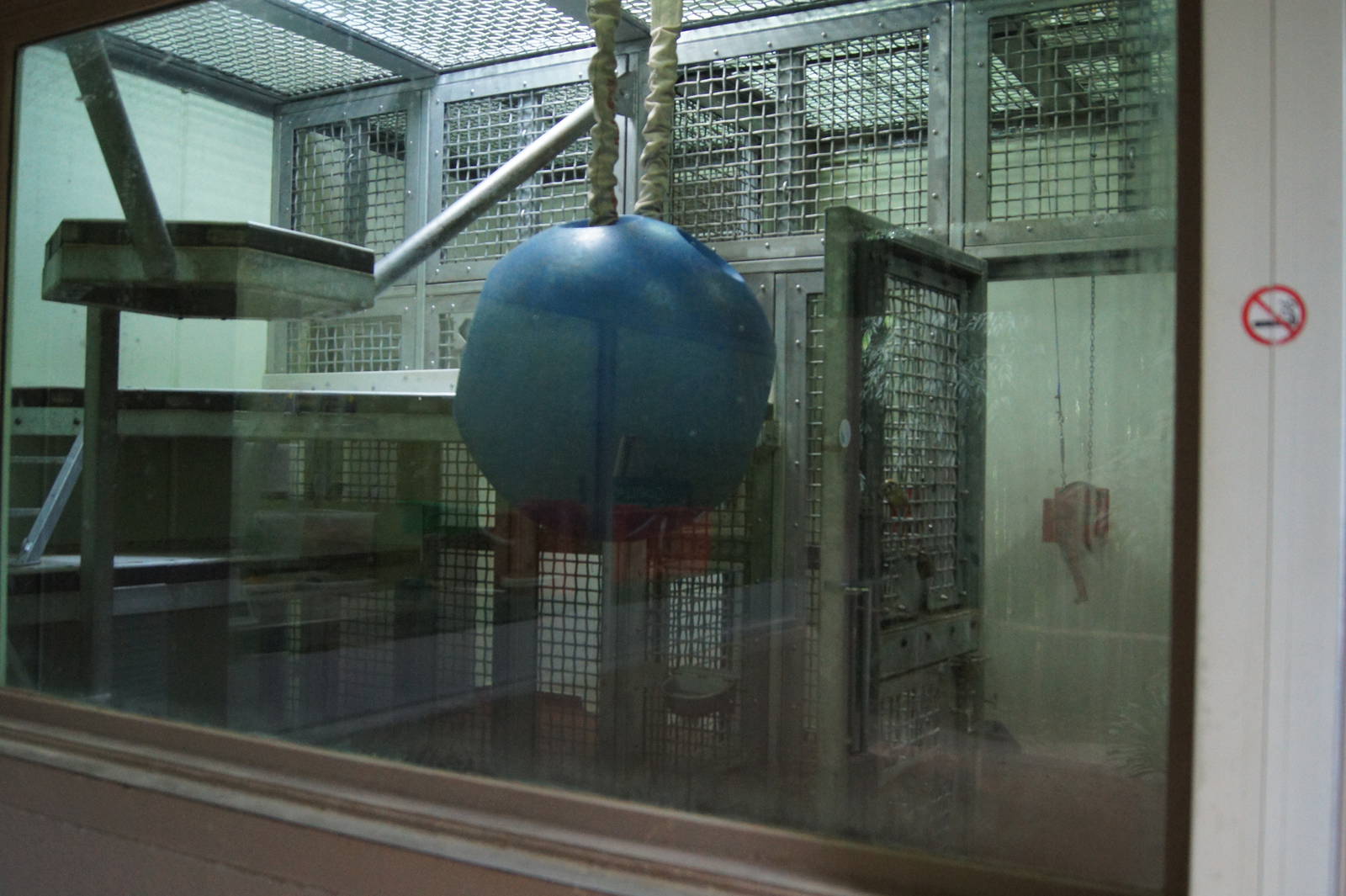 Gorilla indoor exhibits